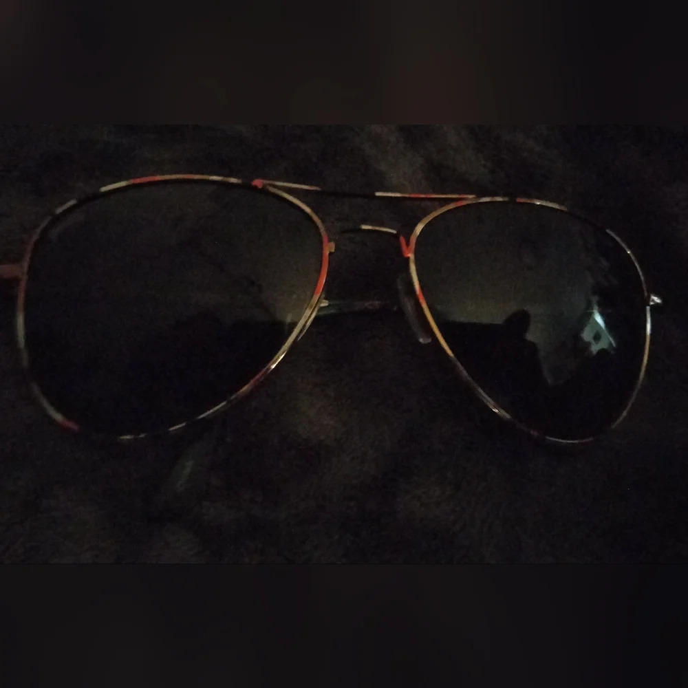 Pugs Aviator sunglasses